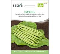 Sativa Judía Bio "Cupido" - 1 paq.