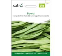 Sativa Judía Bio “Donna” - 1 paq.