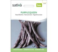 Sativa Judía Enana Bio - Purple Queen - 1 paq.