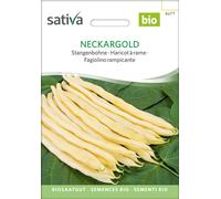 Sativa Judía Trepadora Bio - Neckargold - 1 paq.