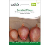 Sativa Semillas de Cebolla Bio “Ramata di Milano” - 1 paq.