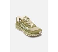 Saucony Grid Peak M 40 Verde