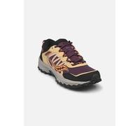 Saucony Grid Peak M 43 Multicolor