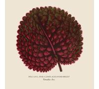 Saul, Will / Fink / Bright, James Alexander - Paradise Ave [Vinilo]