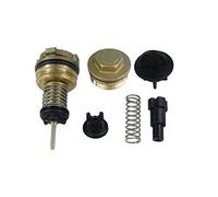 Saunier Duval Thermaclassic F24E F30E F35E Kit de Reparación de la Válvula de Desviador S1006400