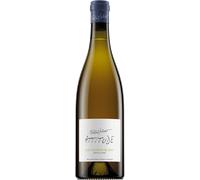 Sauvignon Blanc - Attitude 2025 - Pascal Jolivet