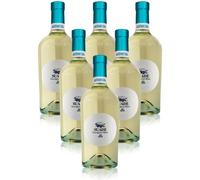 Sauvignon"SUADE" IGT Astoria (6 botellas 75 cl.)