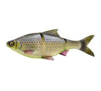 Savage Gear 3D Line Thru Roach (Hugo, 32 cm/420 g de hundimiento lento)