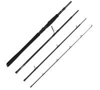 Savage Gear Alpha Sg2 Big Bait Tr - Caña de pescar (2,43 m, 50-110 g)