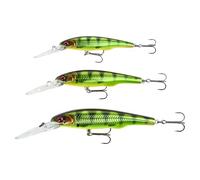Savage Gear Gravity Twitch DR Señuelo, cebo depredador realista con sistema de lanzamiento largo de tungsteno, acción de dardo frenético, sonajero incorporado, trucha y lucioperca, HM Roach 11.5cm 28g