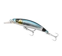 SAVAGE GEAR Señuelo Jerkbait de agua salada Gravity Runner, 100 mm/55 g