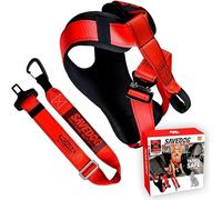 SAVEDOG. Arnés de Perro Homologado para Coche + Cinturón de Seguridad - Kit de Alta Seguridad Fabricado en España bajo la Norma ISO 27955:2010 - para Perros con Perímetro Torácico de 60-90 cm