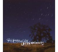 Saves the Day - Under the Boards [Vinilo]