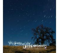 Saves the Day Under The Boards (Vinyl) (Importación USA)