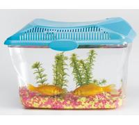 SAVIC Aqua Smile 6L