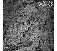 Saviours – Palace of Vision – CD – Importación USA