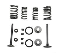 Sawhamale Kit de reconstrucción de válvula de cilindro para motor Sunl chino de 70 cc, 90 cc y 110 cc con componentes de metal para un mejor rendimiento y un acceso suave