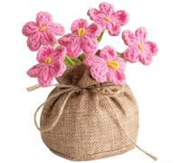 Sawhamale Planta tejida a mano Forget Me Not Dried en maceta, decoración floral artificial de punto para estante de escritorio del hogar, diseño estrellado natural de larga duración para profesores