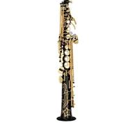Saxofón alto 875EX con llave B tubo recto cuerpo lacado en oro instrumento musical profesional con estuche y accesorios. Saxofón Para Principiantes(Black)