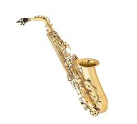 Saxofón Alto Afinado En EB Cuerpo De Latón Con Estuche Saxofón Para Principiantes