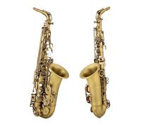 Saxofón Alto Chapado En Cobre Antiguo, Instrumento Musical Profesional E-plano Con Boquilla, Cuello De Caña (Color : 02)