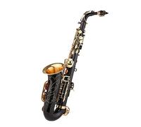 Saxofón Alto De Latón E-flat Sax Duradero Con Estuche De Transporte Para Boquilla Para Principiantes Saxofón profesional