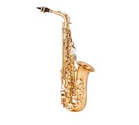 Saxofón Alto E Flat Brass Saxofón Instrumentos De Viento De Madera Profesionales Con Estuche Accesorios Para Boquilla De Cuello (Color : 02)