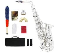 Saxofón alto E Tune Kit completo de saxofón de latón con kit de limpieza y cuidado de estuche, instrumento de viento con botón de concha blanca natural for estudiantes y principiantes (Color : Silver