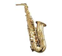 Saxofón Alto Eb, Instrumento Musical Lacado En Oro Y Latón, Saxofón En Mi Bemol Con Accesorios De Estuche (Color : 03)