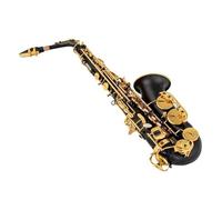 Saxofón Alto Eb Mate Negro Rojo Azul Púrpura Plateado Superficie Tallada E Instrumento Plano Saxofón Con Estuche (Color : Bk)
