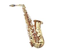Saxofón Alto Eb Simulación De Cobre Saxofón Alto Instrumento De Viento De Madera Profesional Con Boquilla (Color : 02)