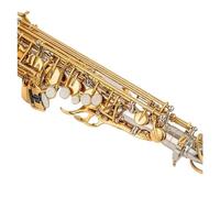 Saxofón Alto Eb Tune, Instrumento Musical De Latón, Saxofón Lacado En Oro Con Estuche, Boquilla