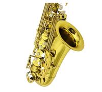 Saxofón Alto Eb Tune Instrumento Musical De Latón, Superficie De Laca Dorada, Saxofón E-plano Con Estuche, Accesorios (Color : Canvas Case)