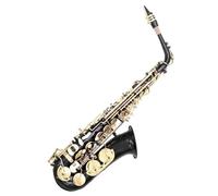 Saxofón alto en mi bemol de latón negro con estuche de 11 cañas y kit de cuidado para principiantes Saxofón Para Principiantes