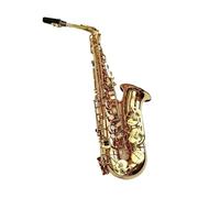 Saxofón Alto Hermoso y elegante saxofón alto profesional Drop E dorado Saxofón alto