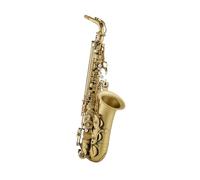 Saxofón Alto Instrumento De Viento Fabricación De Latón Conjunto Completo De Accesorios