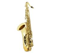 Saxofón Alto Instrumentos de saxofón Saxofón tenor Saxofón tenor en si bemol Principiante Nivel de interpretación profesional Instrumentos