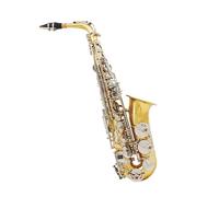 Saxofón Alto Juego completo de saxofón con llave plateada lacada en oro y saxofón alto en mi bemol para principiantes