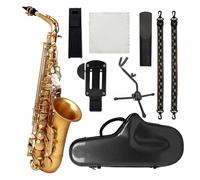 Saxofón Alto Juego de saxofón Saxofón alto Mi bemol Pintura dorada Saxofón alto para principiantes Juego completo con saxofón portátil