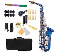 Saxofón Alto Latón E Saxofón Plano Instrumento De Viento De Madera Con Estuche Para Guantes Y Otros Accesorios Saxofón profesional (Color : 03)