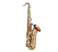 Saxofón Alto Los accesorios mejoran un conjunto completo de instrumentos de saxofón alto en si bemol para que los principiantes puedan tocar y probar de manera profesional.