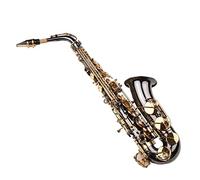 Saxofón Alto, Níquel Negro de Saxofón e Latón Plano de Saxofón con Estuche de Transporte + Tela de Limpieza + Cepillo + Correa para el Cuello de Saxofón para Estudiantes Principiantes