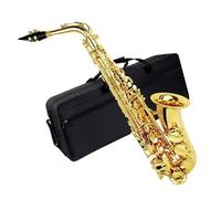 Saxofón alto para principiantes profesional de metal en mi bemol con parte de viento madera Saxofón Para Principiantes