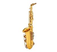 Saxofón Alto Profesional Drop E, Saxofón Alto Dorado Con Accesorios Para Boquilla De Banda