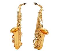 Saxofón Alto Profesional Drop E, Saxofón Alto Dorado Con Banda, Boquilla, Estuche De Láminas (Color : 02)