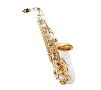 Saxofón Alto Profesional E-flat Pintura Blanca Llaves Doradas Grabadas Bellamente Estampadas Con Estuche De Lona Saxofón para estudiantes