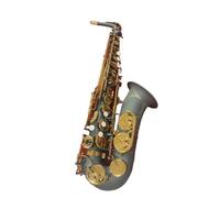 Saxofón Alto profesional E-plano instrumento de viento de madera niquelado negro mate con accesorios Beginner Saxofón (Color : Cloth bag)