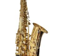 Saxofón Alto profesional E-plano, latón dorado lacado, instrumento de viento de madera tallado uno a uno con estuche Beginner Saxofón (Color : Cloth case)