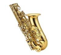 Saxofón Alto Profesional Golden Woodwind Saxofón Para Principiantes