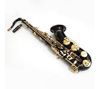 Saxofón alto profesional para principiantes y adultos, acabado negro brillante con llaves chapadas en oro, incluye estuche y accesorios, jazz, banda y uso escolar